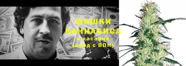 молекула духа Иннополис
