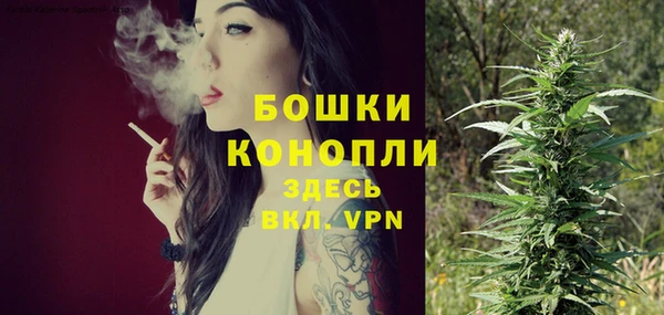 молекула духа Иннополис
