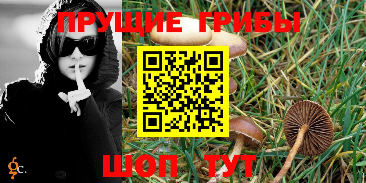 Галлюциногенные грибы мицелий  Славгород 