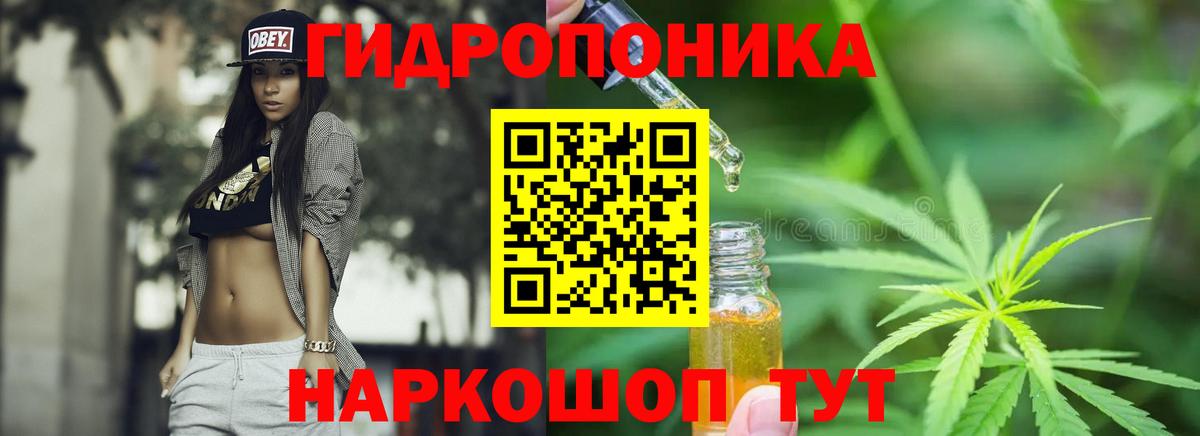 Бошки марихуана Ganja Славгород